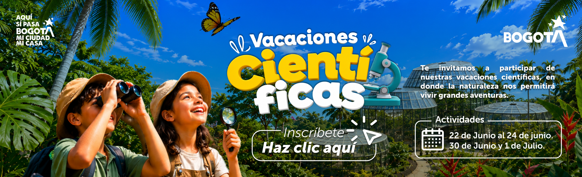Vacaciones cientificas Vacaciones cientificas