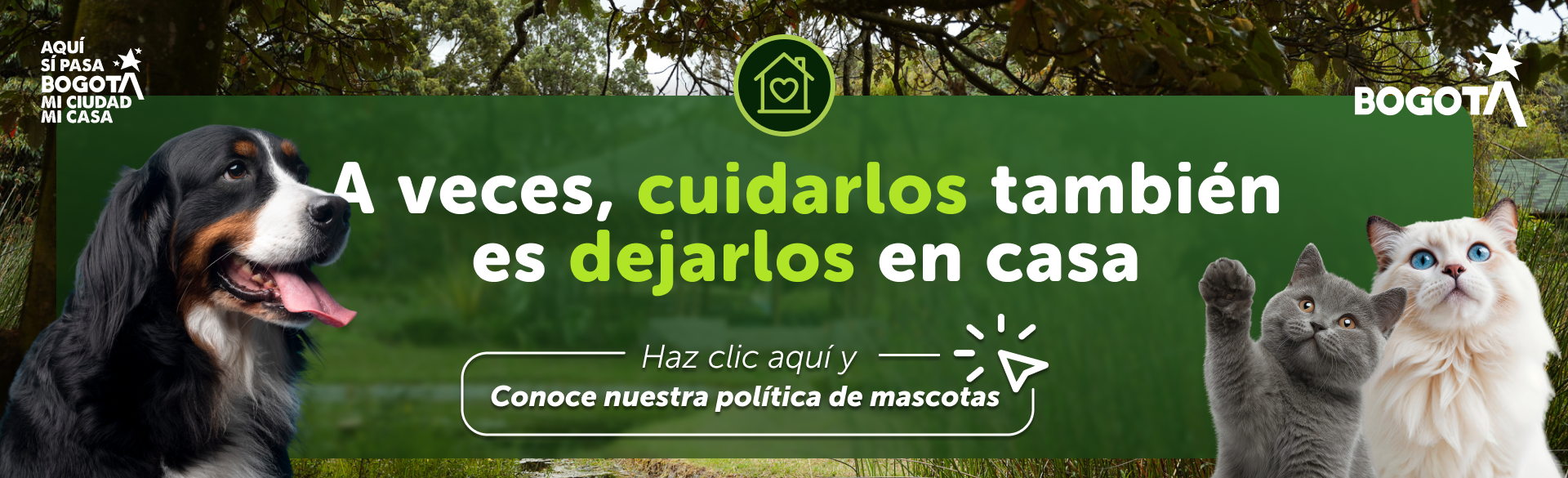 aviso notificacion aviso notificacion