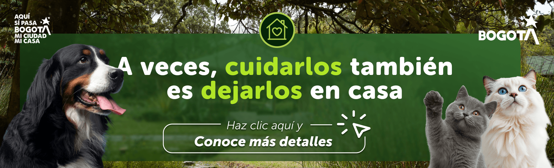 aviso notificacion aviso notificacion