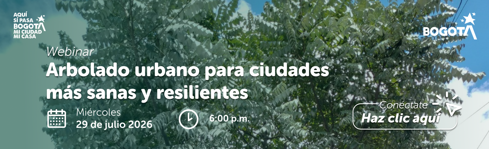 Webinar Julio 2026 Webinar Julio 2026