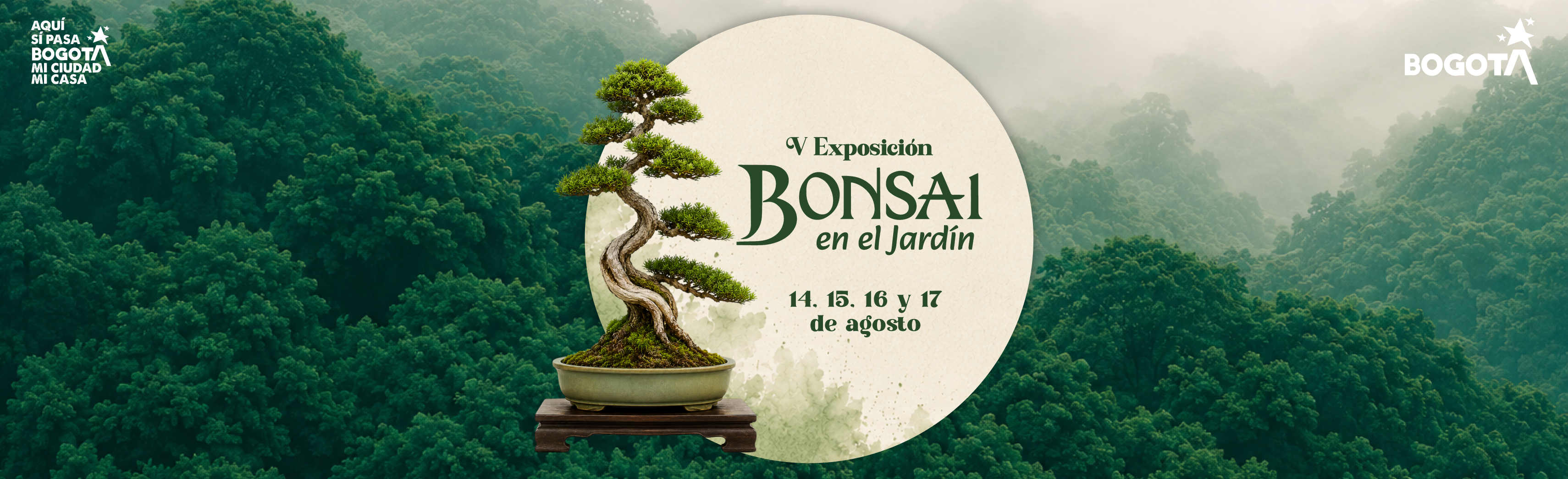 V exposición de Bonsai 2026 V exposición de Bonsai 2026