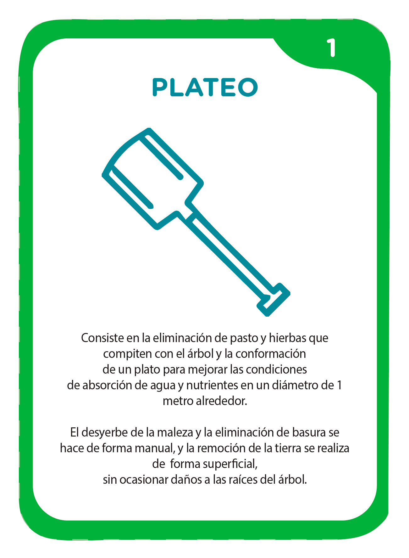 FICHA_0000_5.-Fichas-Doctor-Fucha-12