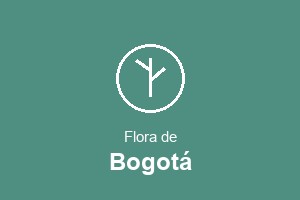 Flora de Bogotá