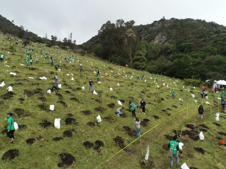 Distrito y Comunidad multiplican sus fronteras verdes con diez mil nuevos árboles para Bogotá