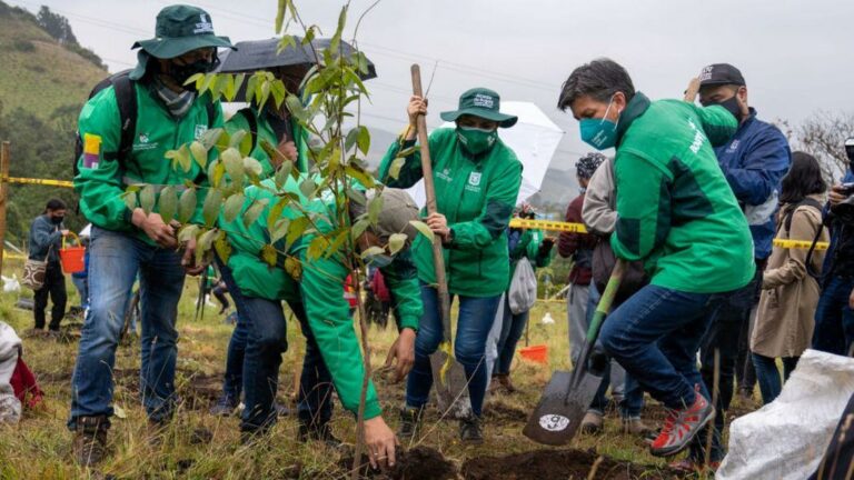 Alcaldesa lanza esquema 5×1 de plantación. ¡10.000 nuevos árboles para Bogotá!