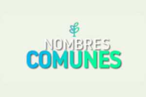 Nombres Comunes