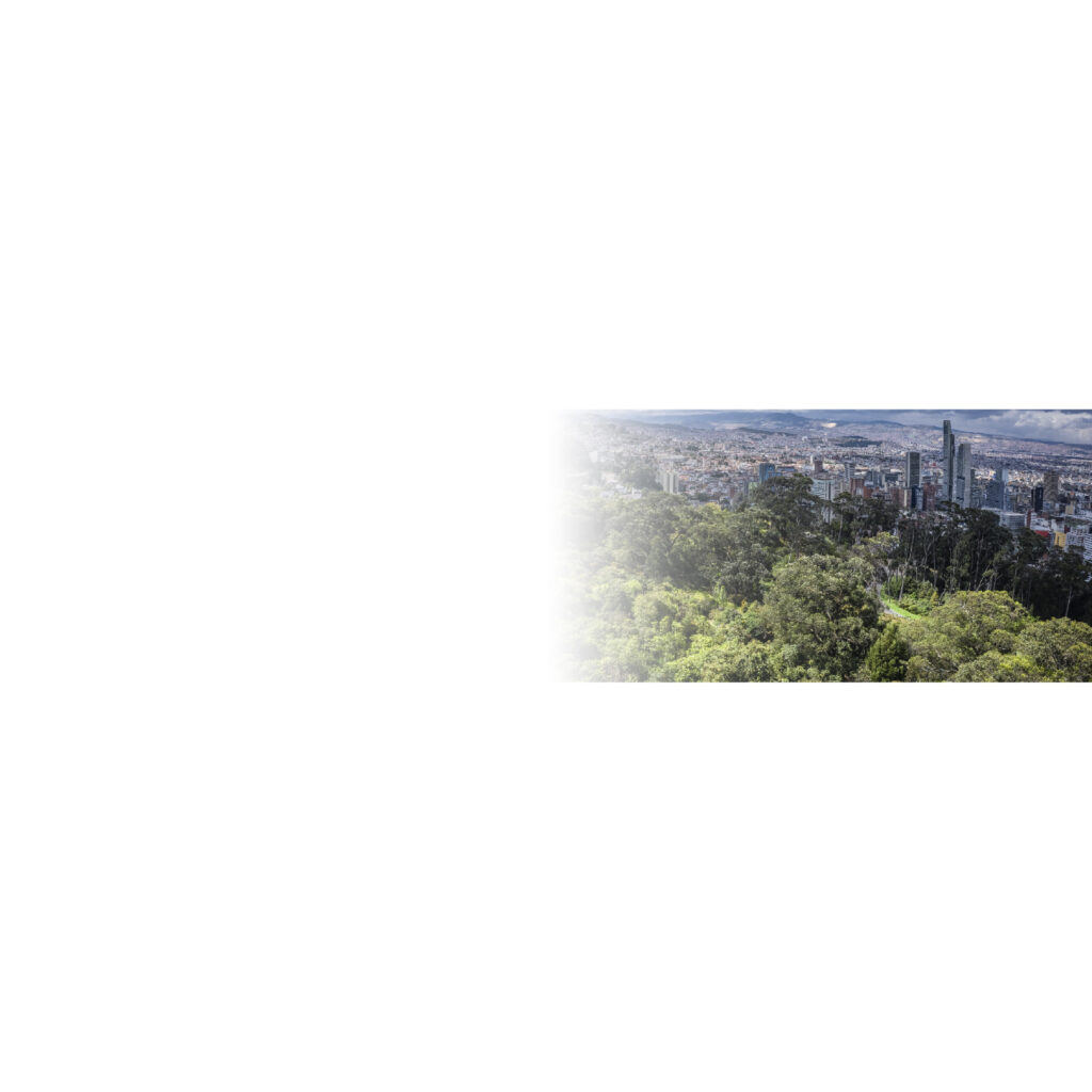Asesoría técnica en arborización y jardinería