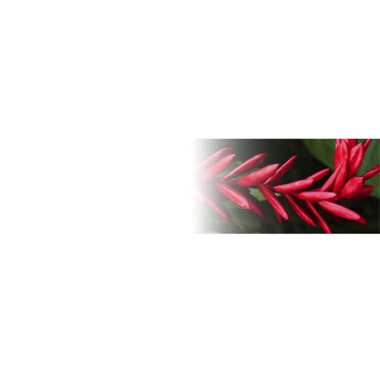 Banner Portafolio Espacios Académicos