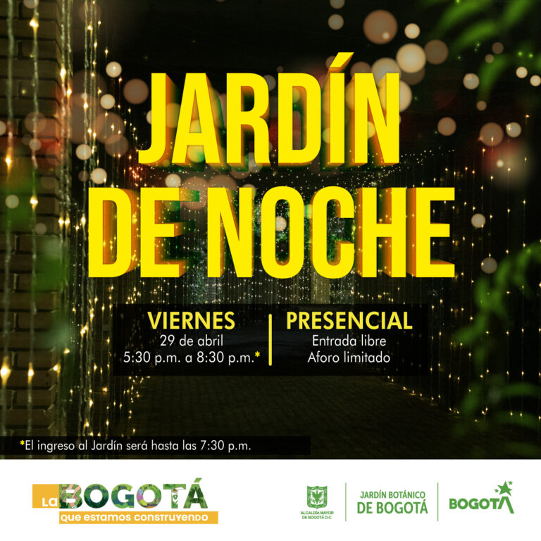 Imagen Jardin de noche 29 abr 2022
