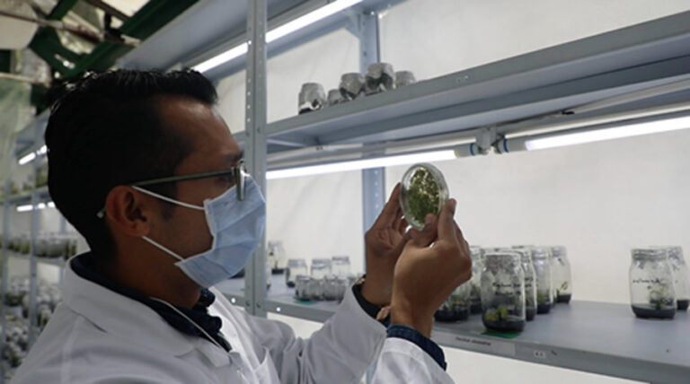 Gobierno Nacional reconoce como Centro de Investigación al Jardín Botánico de Bogotá José Celestino Mutis