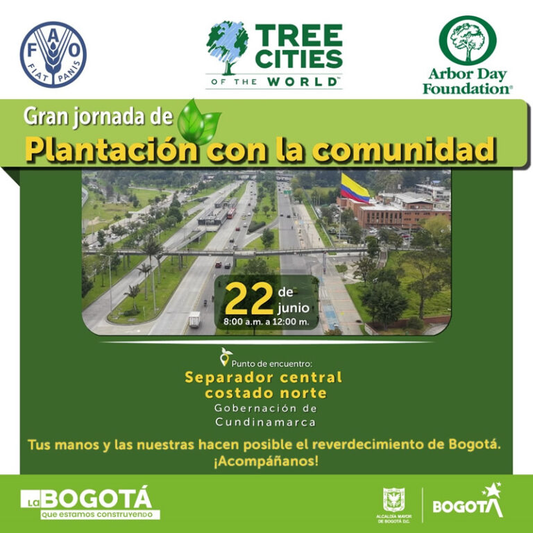 Plantación 22 jun