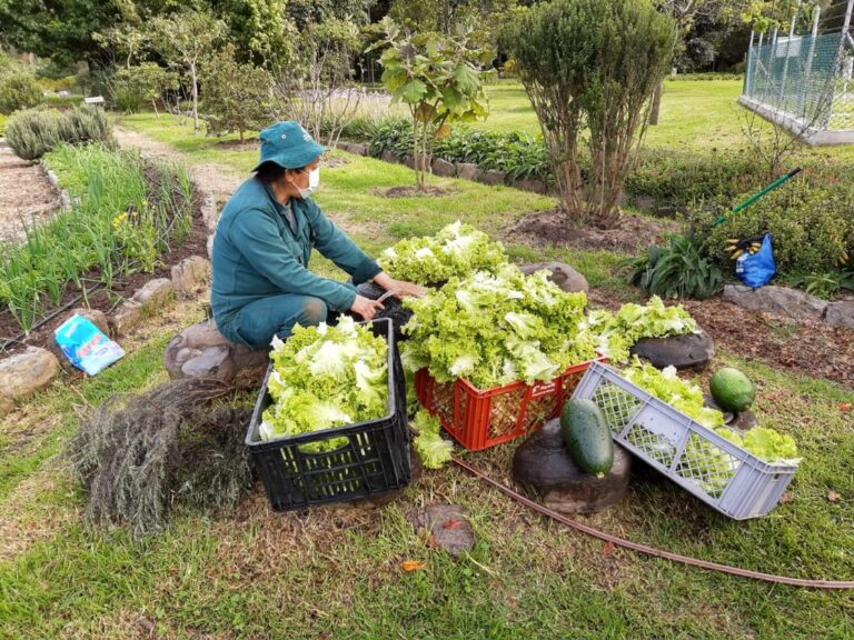Bogotá finalista con Programa Agricultura Urbana en el AIPH World Green City Awards 2022