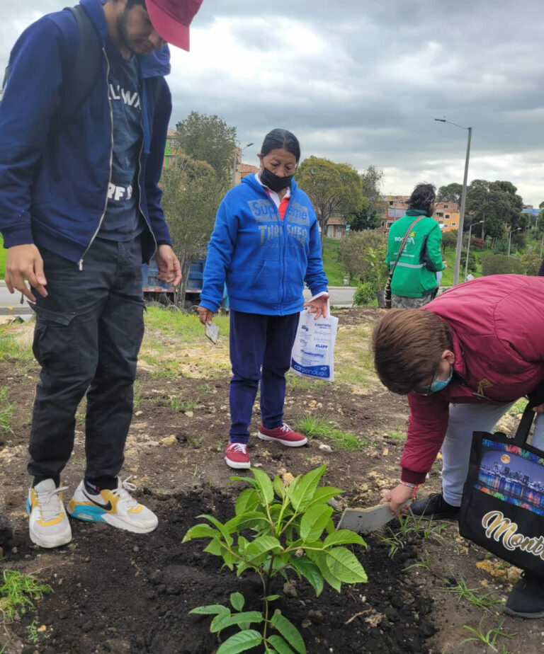 Comunidad y Jardín Botánico plantaron 130 nuevos árboles en Ciudad Bolívar