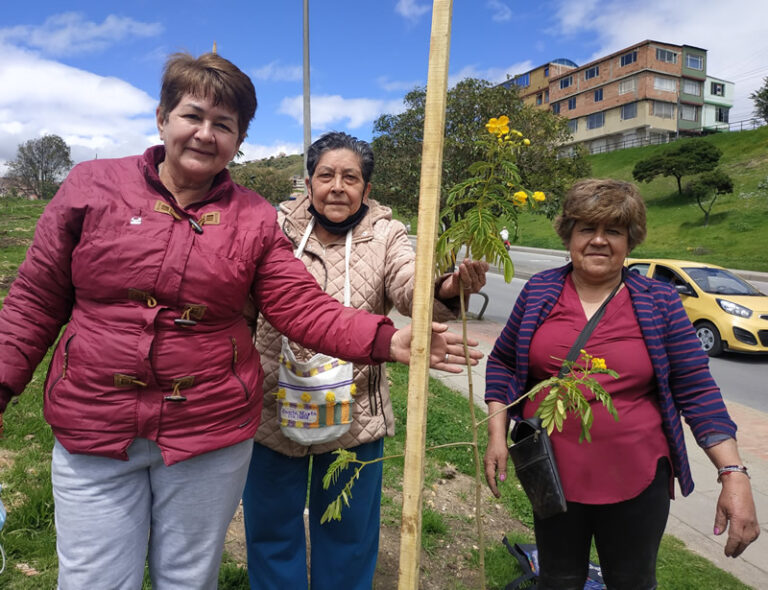 Ciudad Bolívar reverdece con las manos de sus habitantes