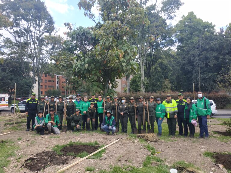 Avenida Las Américas reverdeció con 700 nuevos árboles