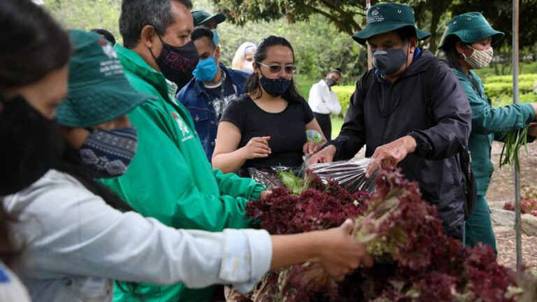 PortadaCursoAgriculturaUrbana