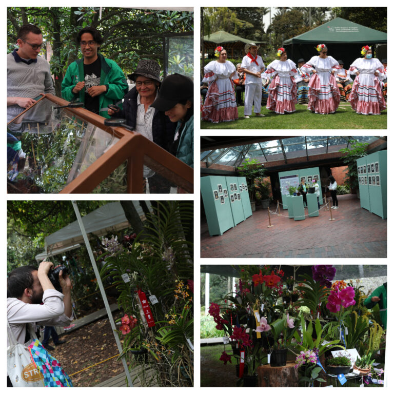 Culmina con éxito XIX Exposición Nacional de Orquídeas en el Jardín Botánico de Bogotá