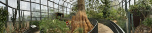 Bosque seco tropical