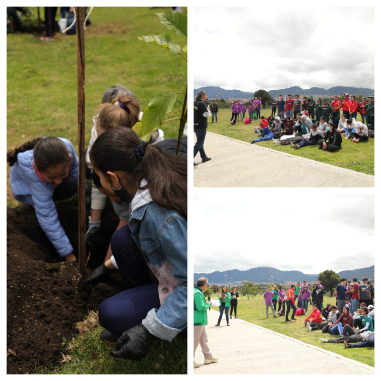 Día Mundial del Árbol 2022