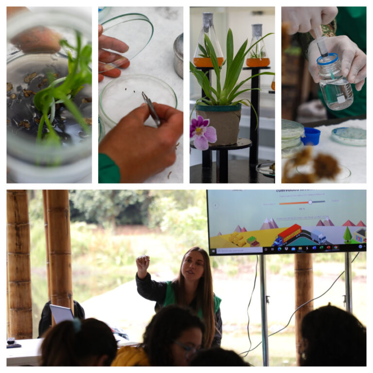 Semana de la Investigación del Jardín Botánico