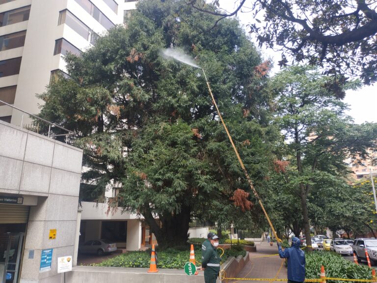 Sequoia Chapinero