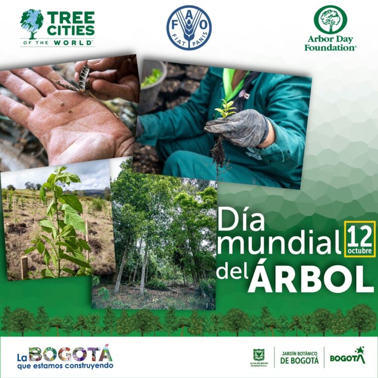 día mundial del árbol 2022