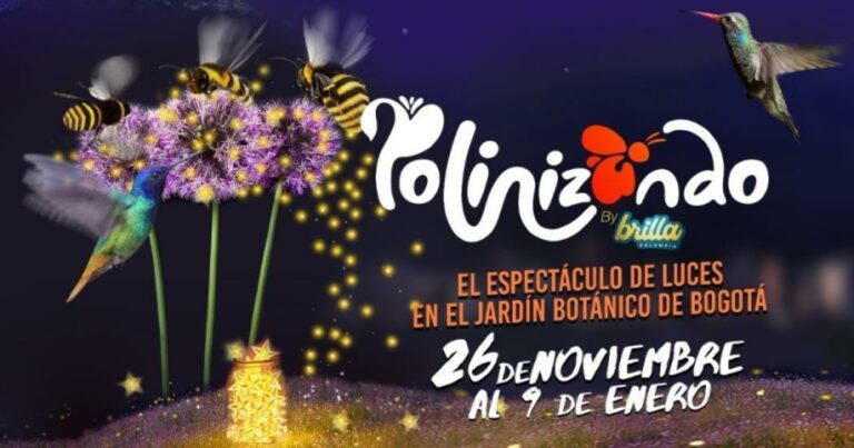 Polinizando Boletín de prensa