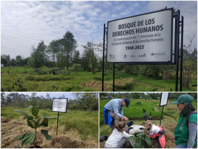 Las Mercedes