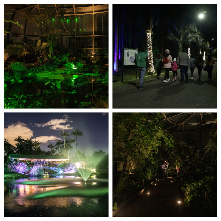 Jardín de noche 24 febrero 2023