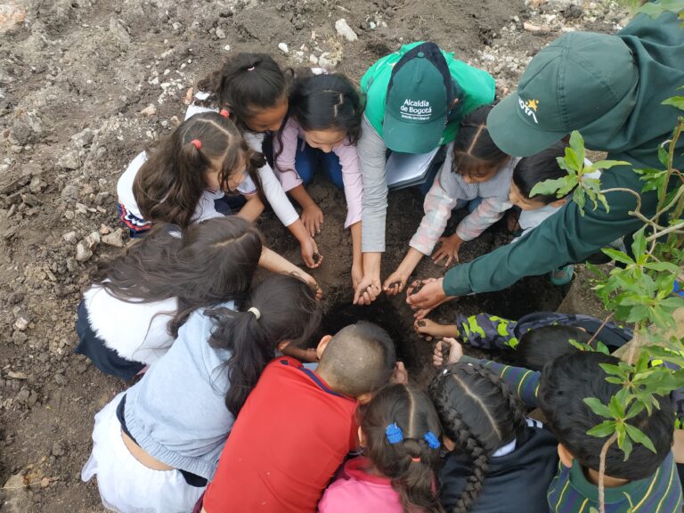 Una plantación con los “patojitos” de Ciudad Bolívar