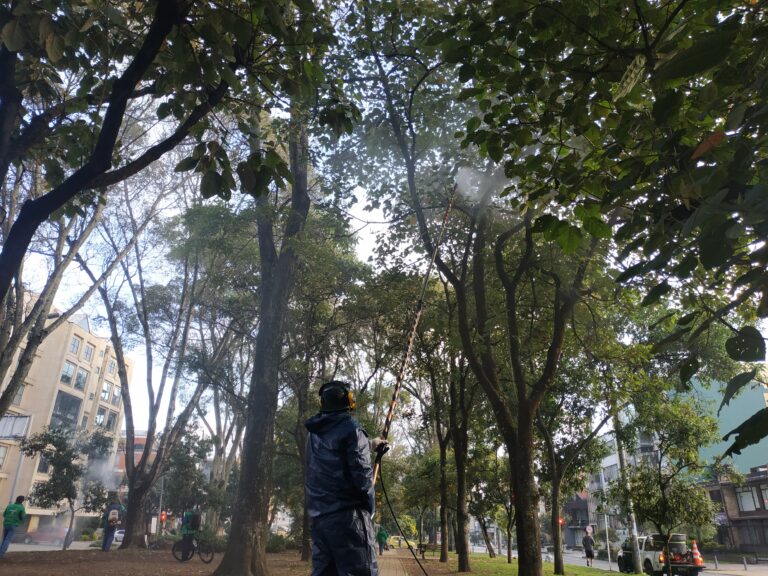 La jornada que fortaleció el arbolado del Park Way