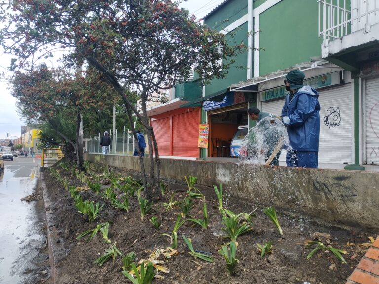 jardineras de El Tunal