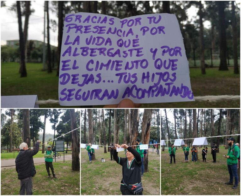 despedida a 16 árboles del Bosque de San Carlos