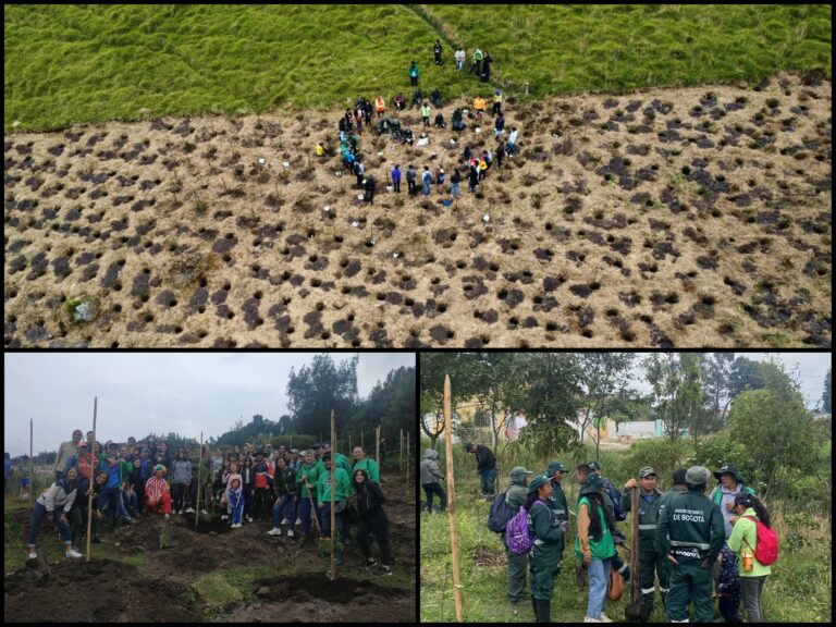 La “sembratón” de Bogotá en el Día Internacional de la Madre Tierra