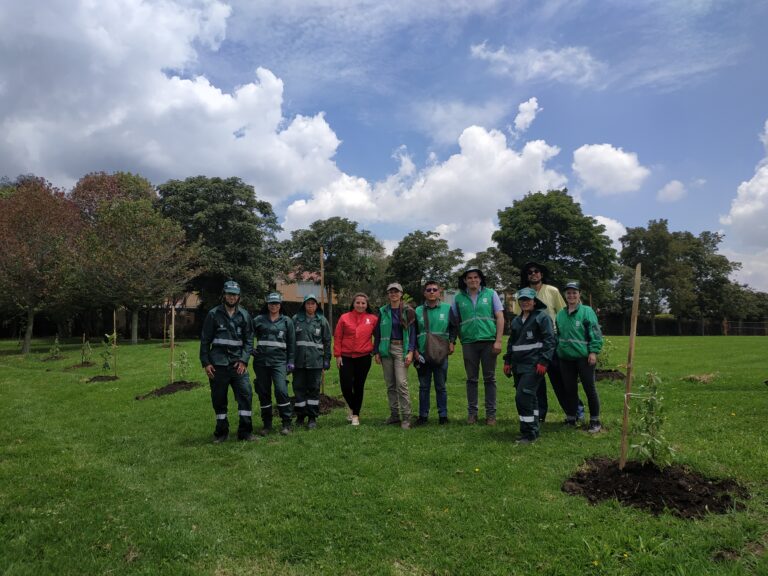 El reverdecer de San Simón