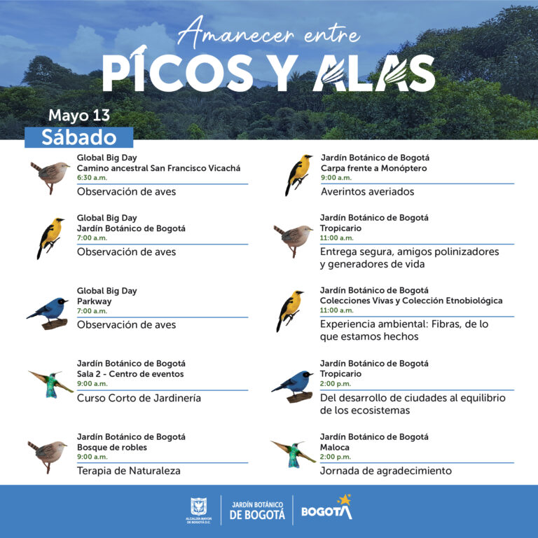 Avistamiento de Aves