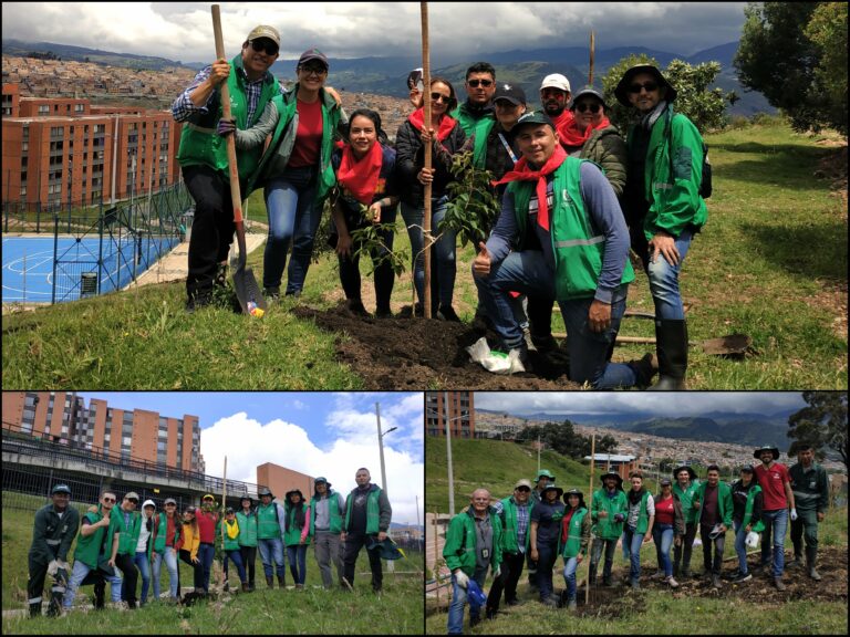 Crónica plantación Usme