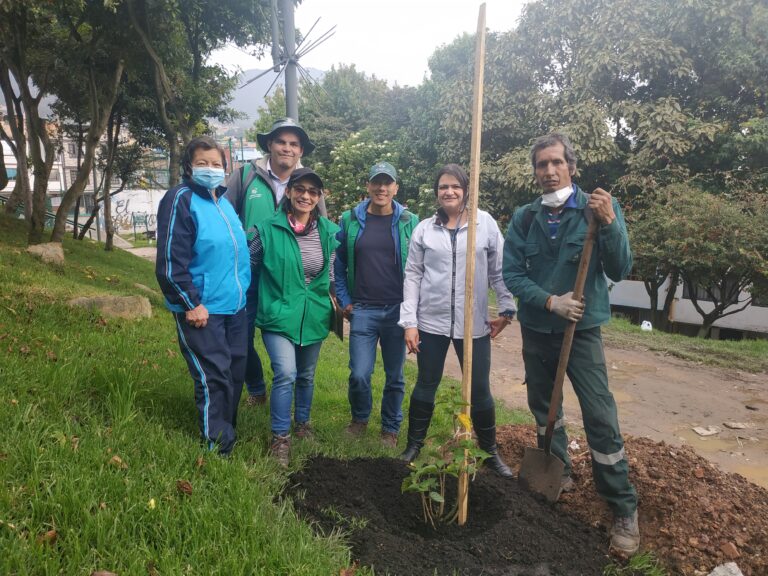 Nuevos árboles en las alturas de San Cristóbal