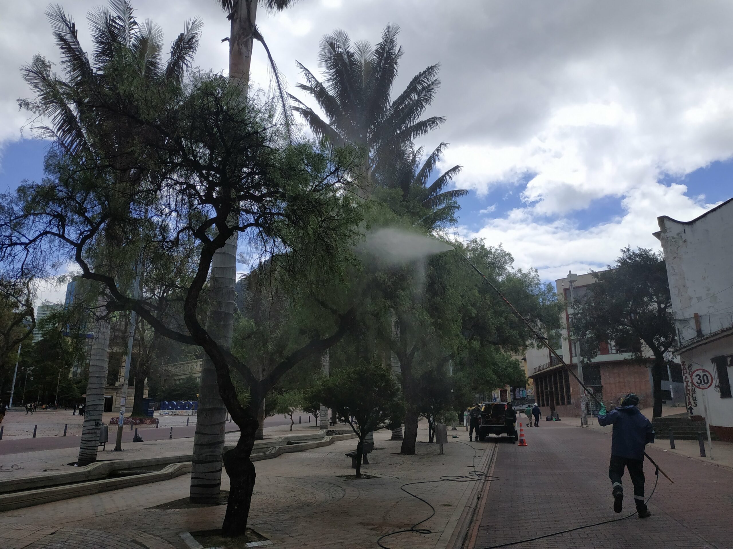 El cambio extremo de los falsos pimientos del Eje Ambiental