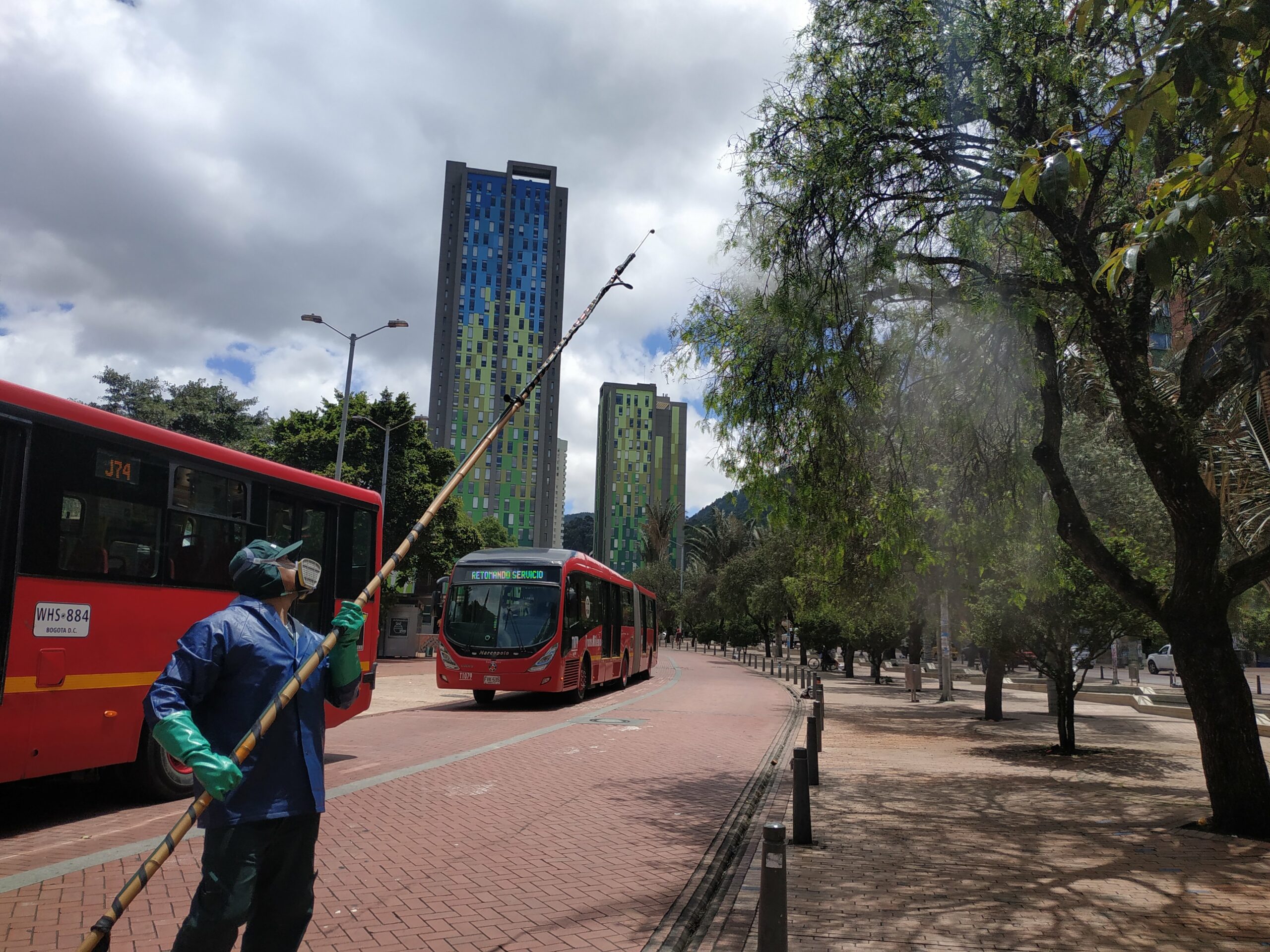El cambio extremo de los falsos pimientos del Eje Ambiental