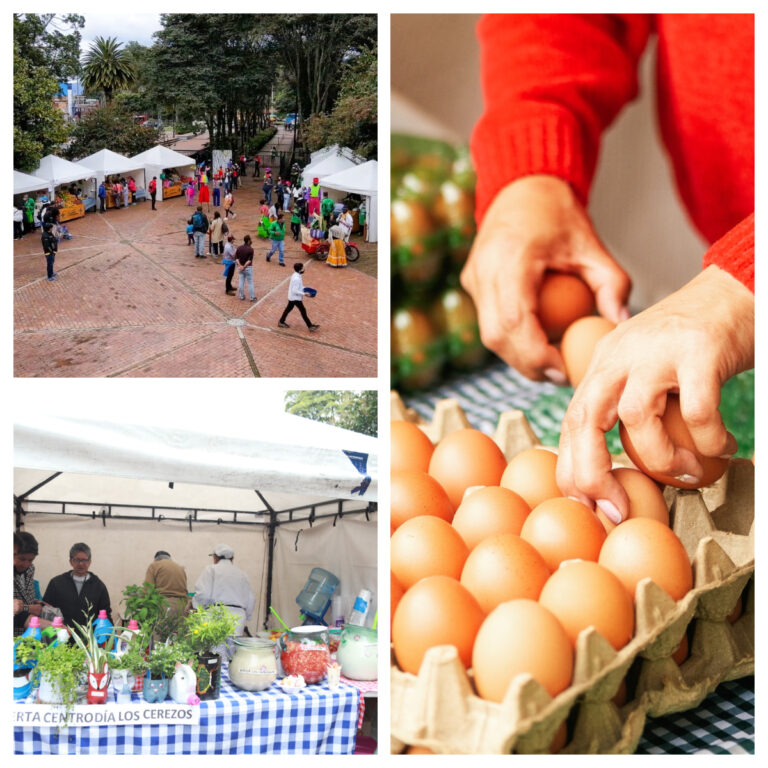 Segundo aniversario de Bogotá es mi Huerta: mercados campesinos agroecológicos del Jardín Botánico