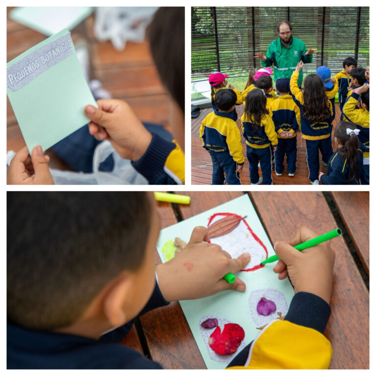 Prográmate para disfrutar de las Vacaciones Científicas de mitad de año en el Jardín Botánico de Bogotá