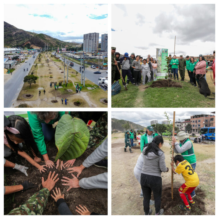 Distrito plantó más de 300 árboles en corredor vial de La Aurora, en Usme, para celebrar el Día Mundial del Árbol