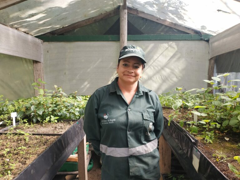 Las niñeras de las plantas nativas del vivero Las Mercedes
