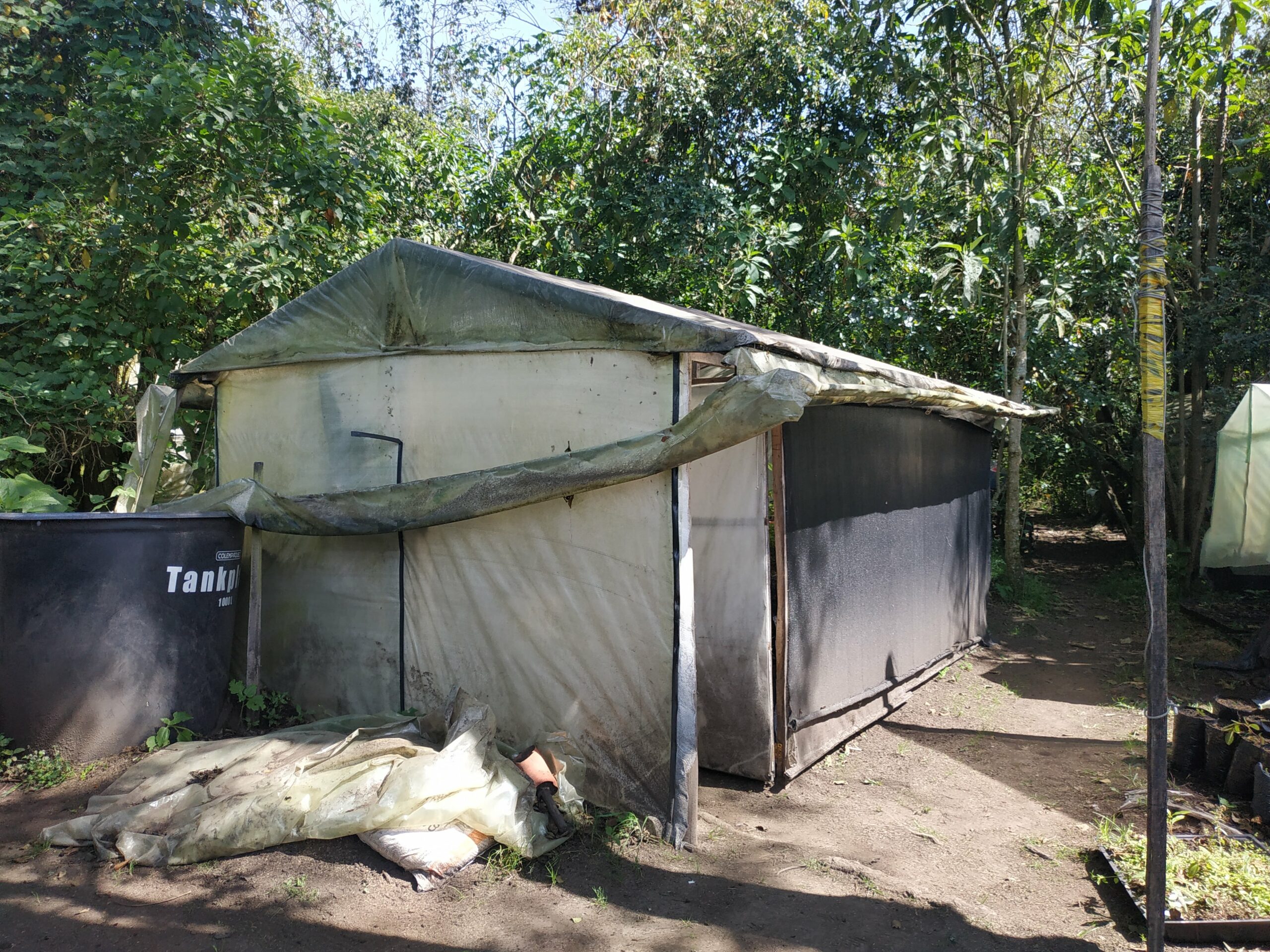Las niñeras de las plantas nativas del vivero Las Mercedes