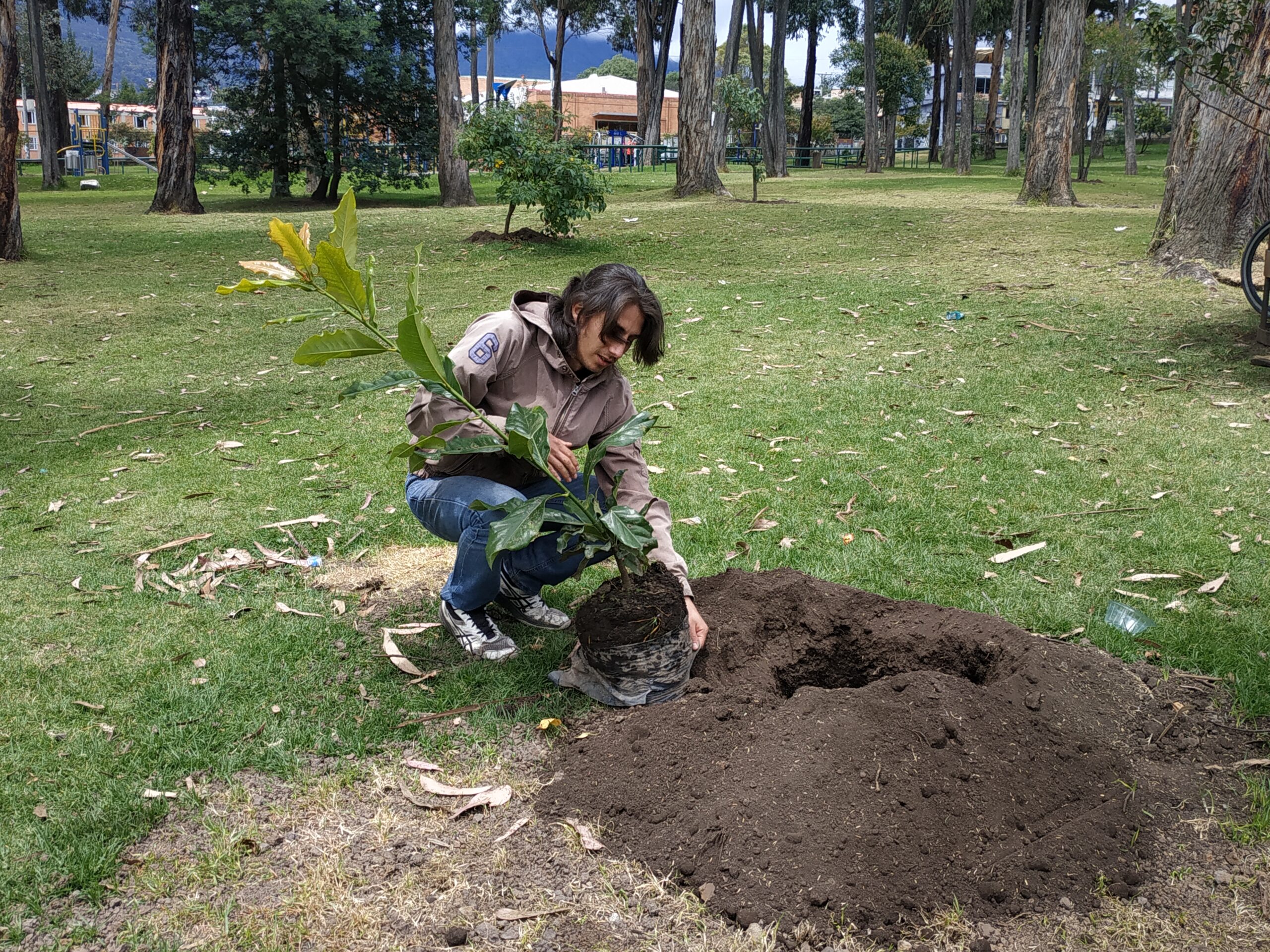 ¡Reverdece el pulmón del sur de Bogotá!