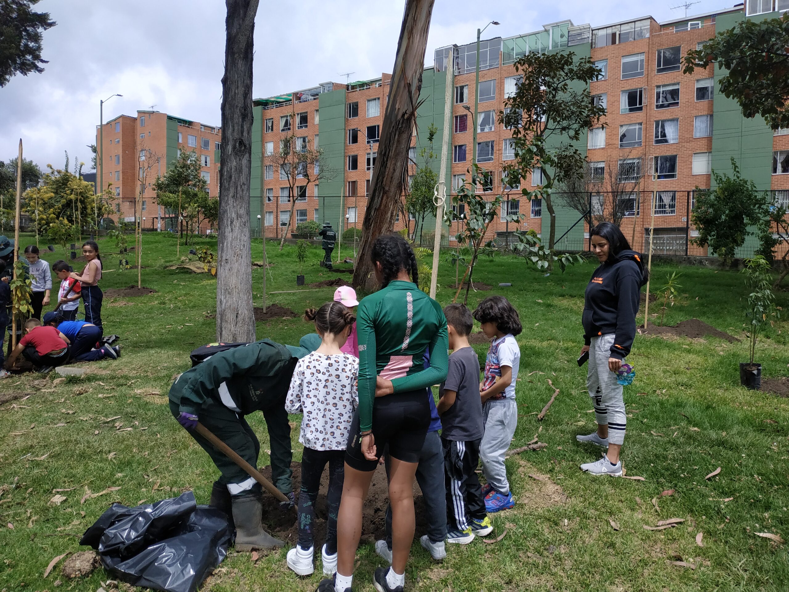 ¡Reverdece el pulmón del sur de Bogotá!