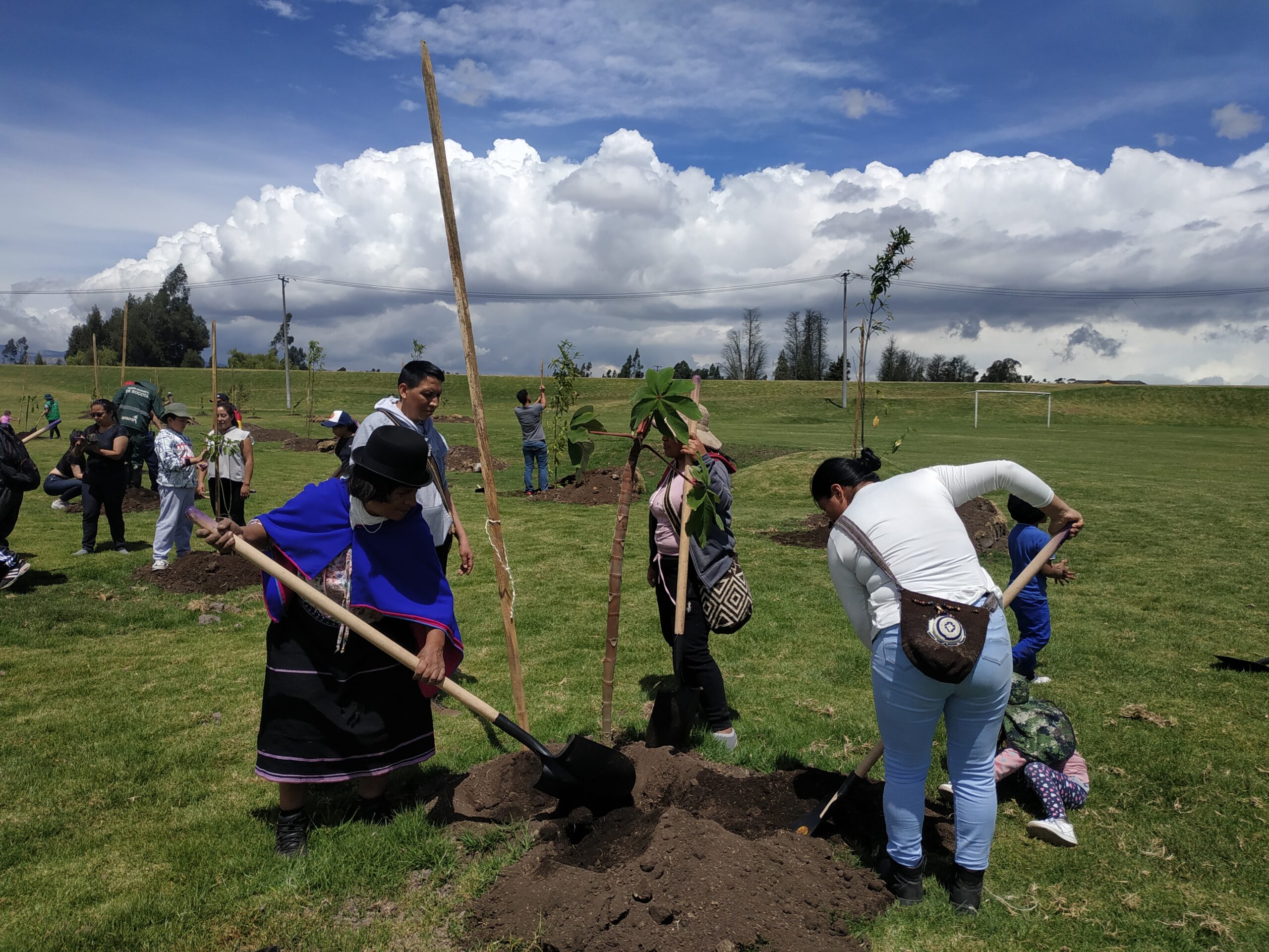 Una plantación con mensaje ancestral en Fontibón