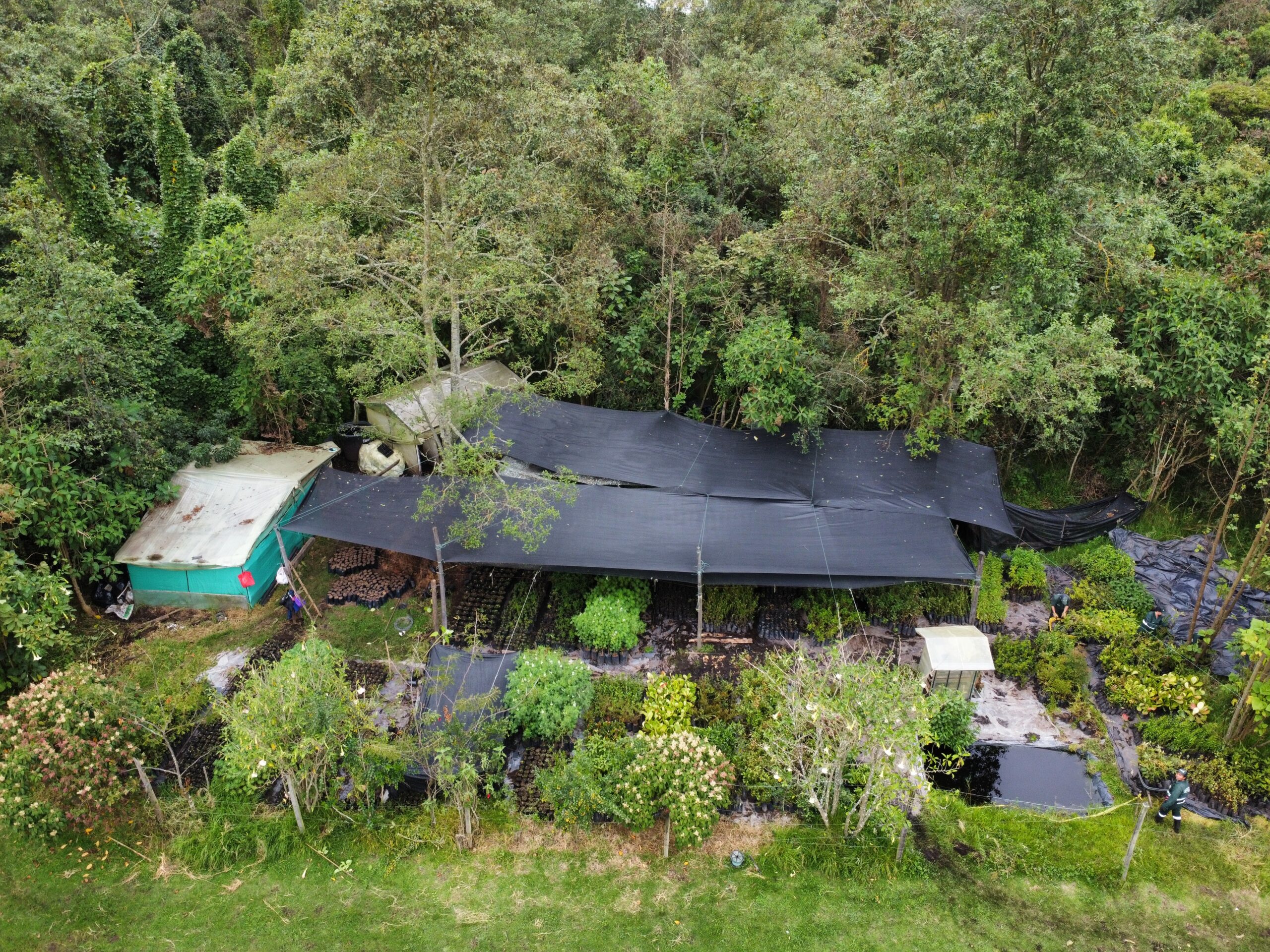 Las niñeras de las plantas nativas del vivero Las Mercedes