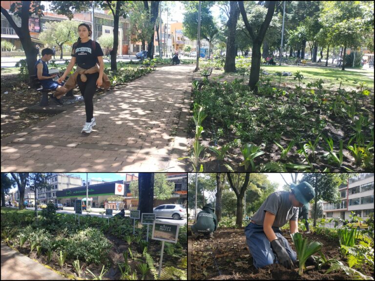 El Park Way reverdece con nuevas jardineras